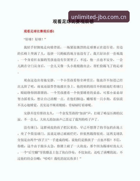 资深用户分享：梅里诺欧冠决赛前的心路历程与竞博体育观赛心得